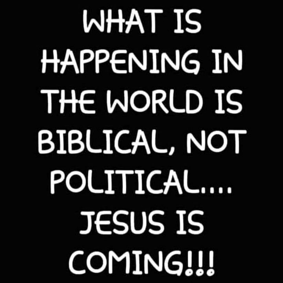 Meet your Posher, Alyse - Picture 13 of 16